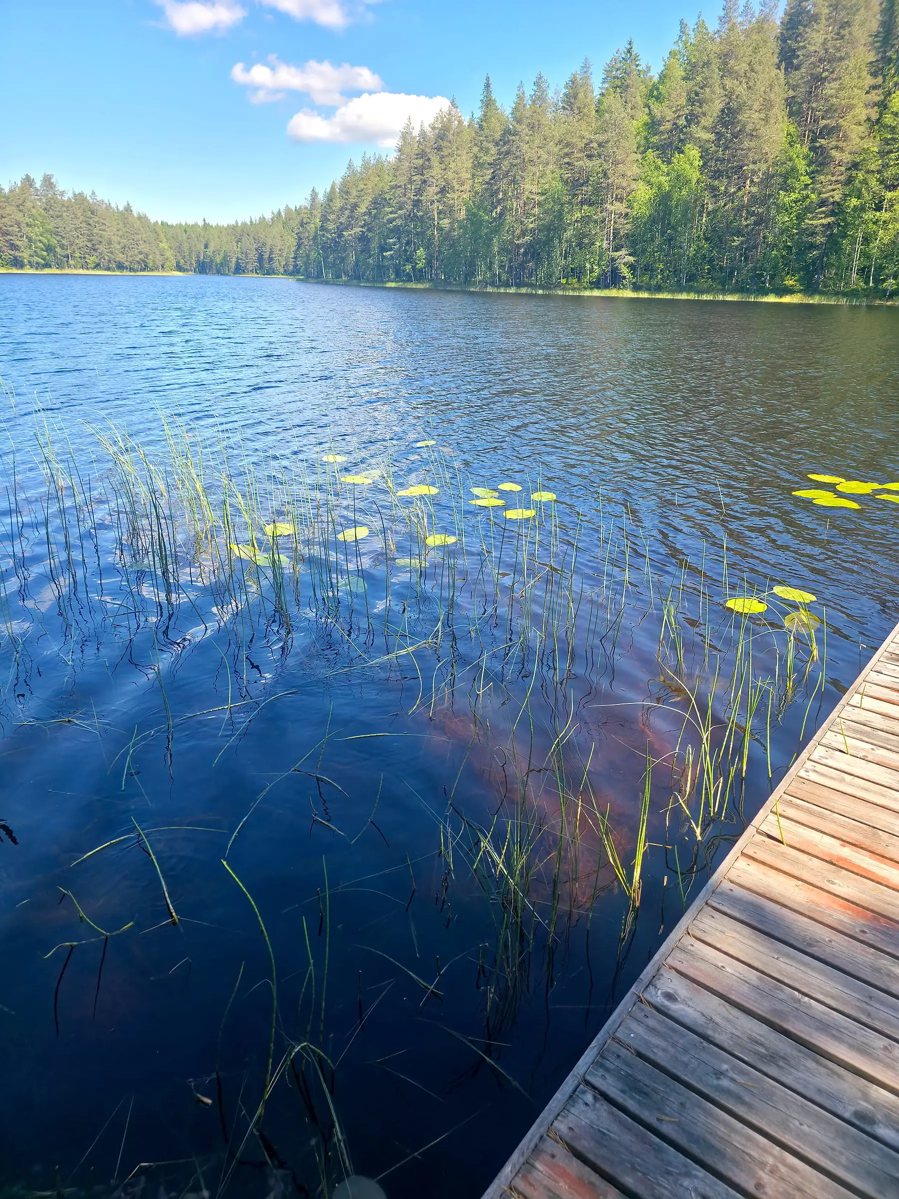Talon oma järvi