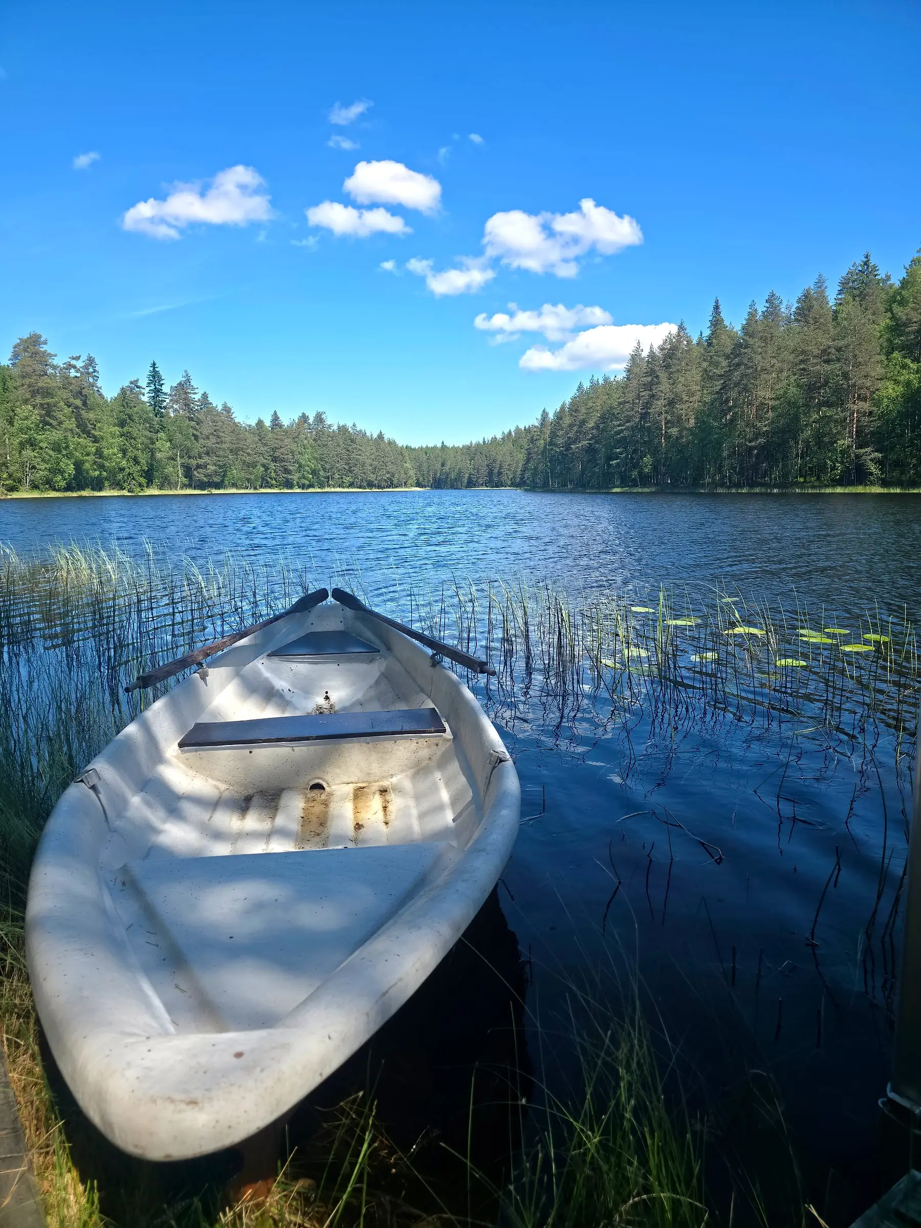 Soutuvene järvellä