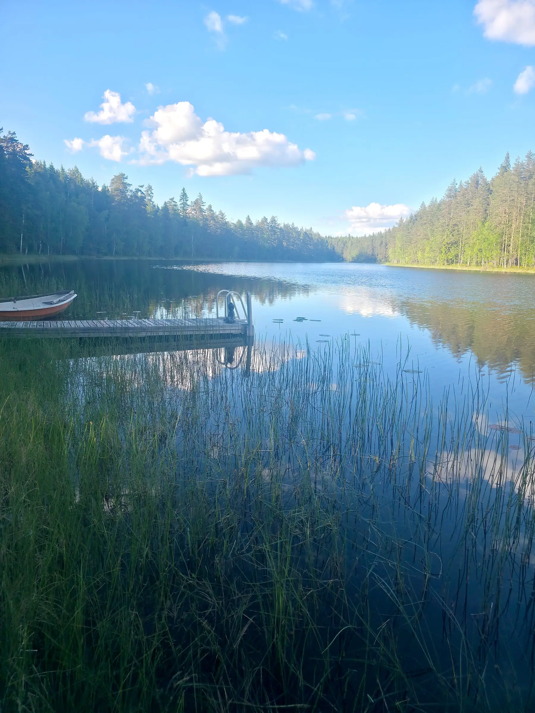 Talon oma järvi