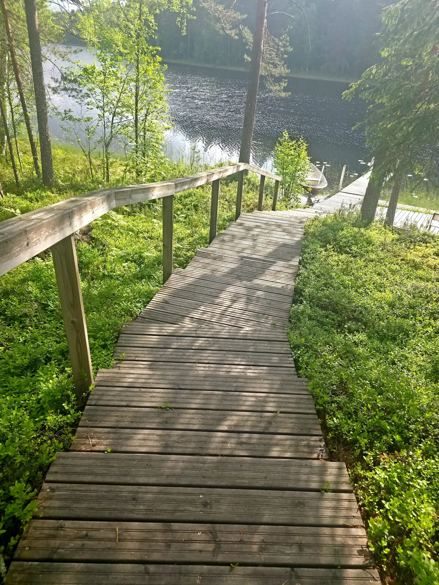Polku alas järvelle