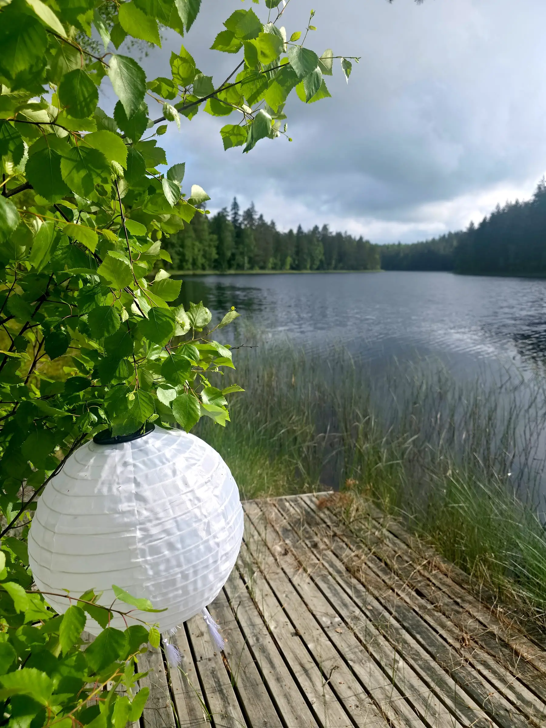 Laituri järvellä
