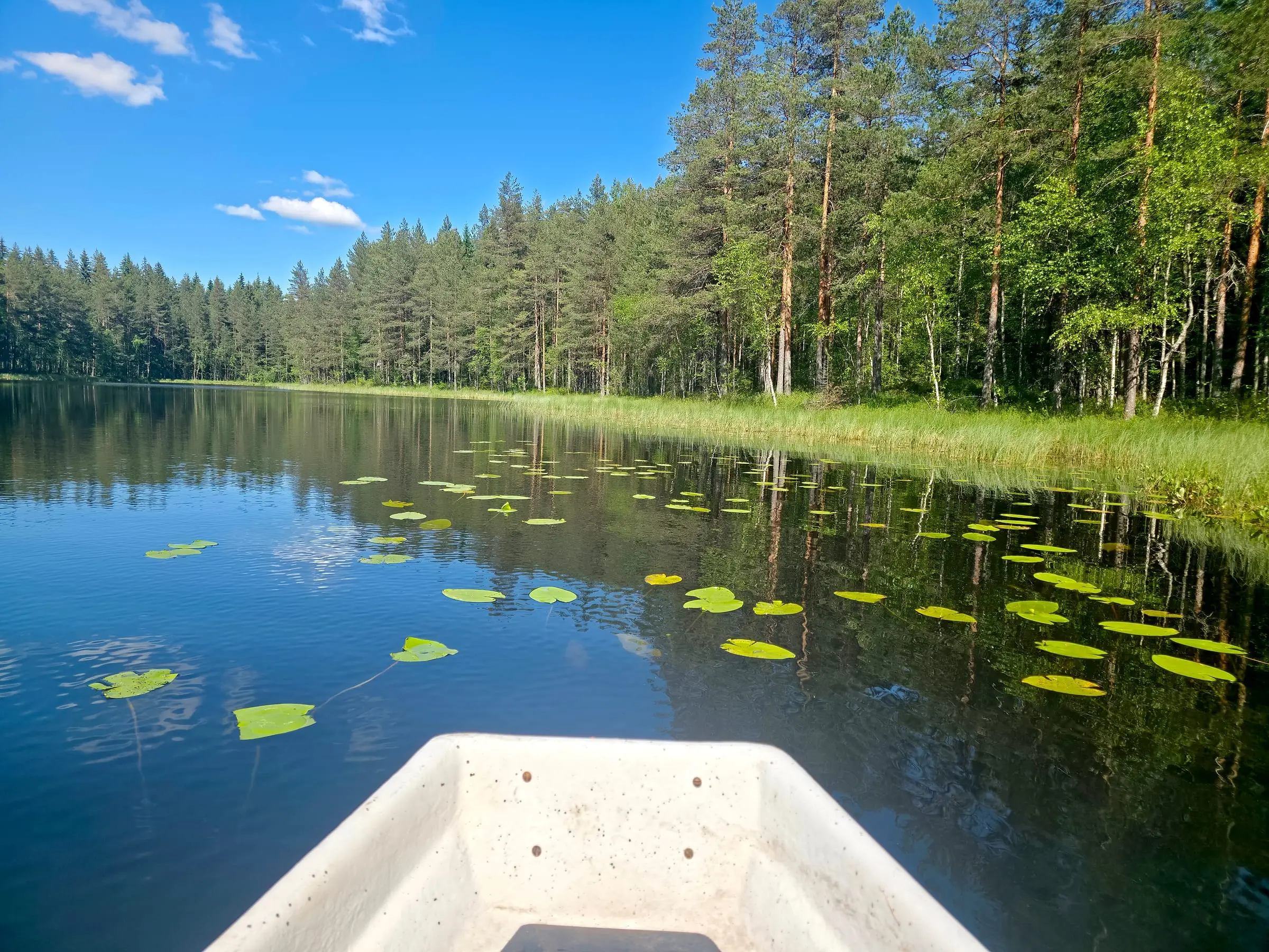 Talon oma järvi