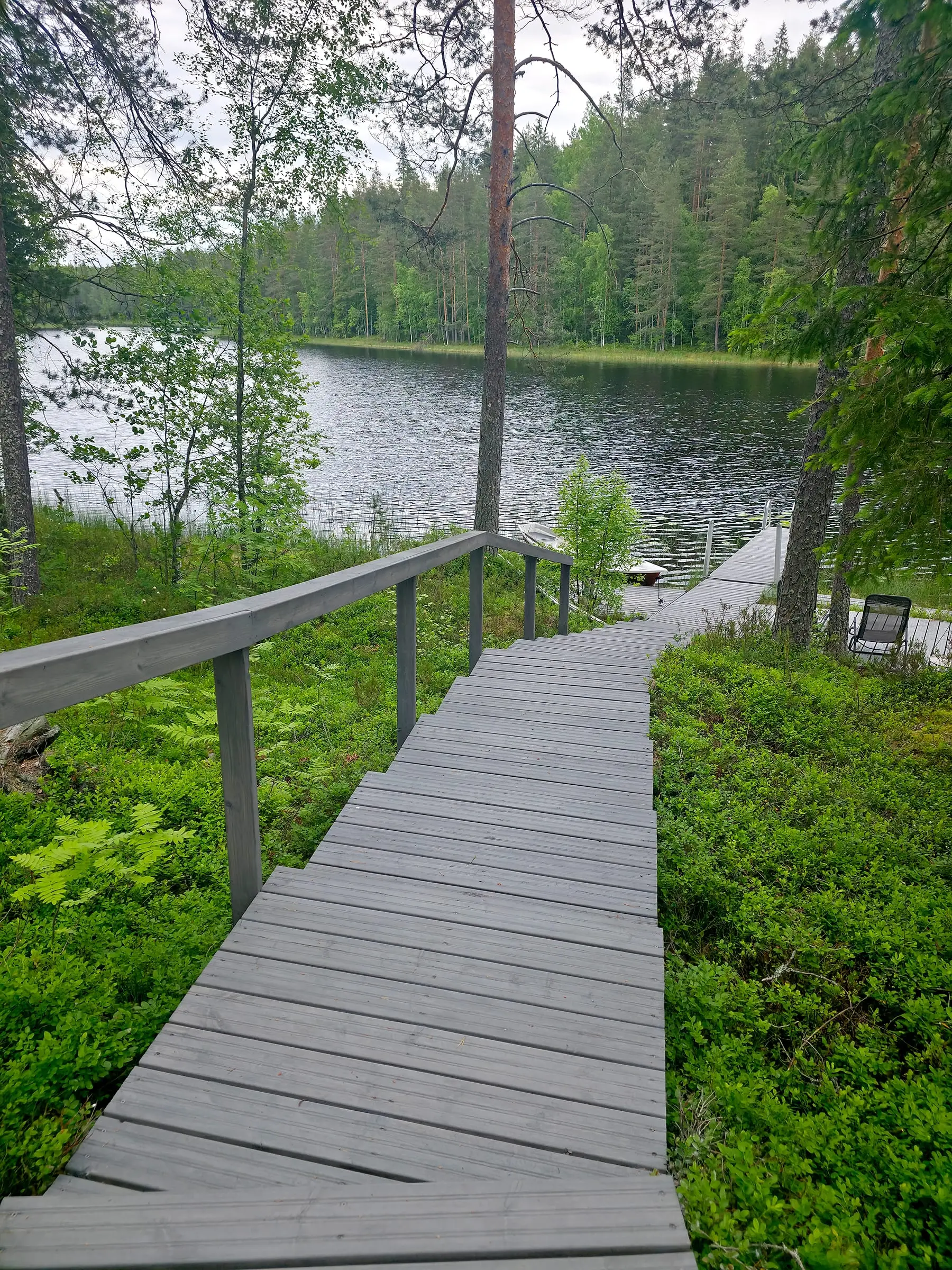 Polku alas järvelle